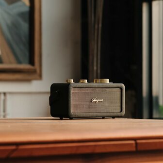 Sangean RA-101 Black Gold draagbare FM radio met bluetooth en aux speaker oplaadbaar zwart goud