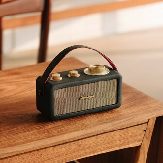 Sangean RA-101 Black Gold draagbare FM radio met bluetooth en aux speaker oplaadbaar zwart goud