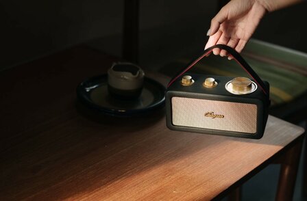 Sangean RA-101 Black Gold draagbare FM radio met bluetooth en aux speaker oplaadbaar zwart goud