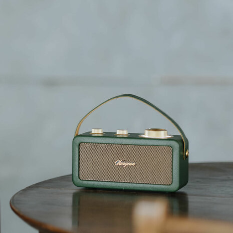 Sangean RA-101 Forest Gold draagbare FM radio met bluetooth en aux speaker oplaadbaar bos goud