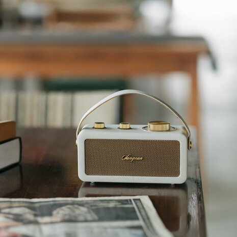 Sangean RA-101 Ivory Gold draagbare FM radio met bluetooth en aux speaker oplaadbaar ivoor goud